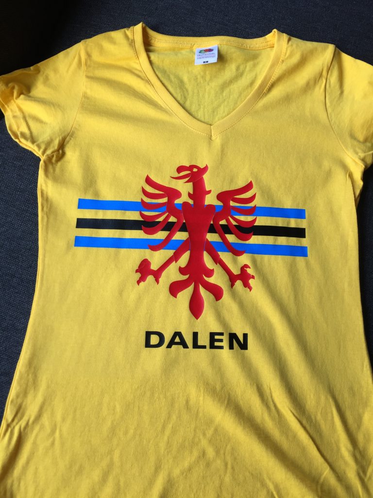 Bedrukte t-shirts (3 kleuren)